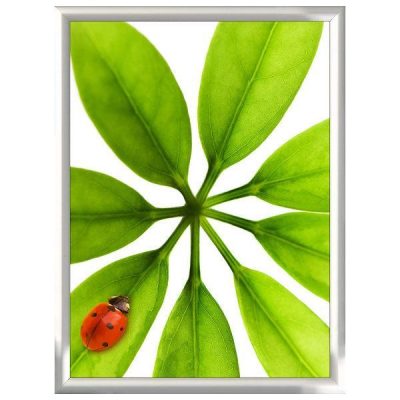 18x24 Snap Poster Frame - 1 inch Silver Mitred Profile
